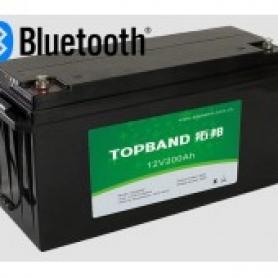 12,8В Литий-ионный аккумулятор Topband 200А*ч Bluetooth